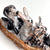 Cat, Rabbit, and Dog in Otter Canoe by Aaron Murray
