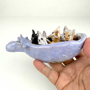 Four Cats in a Hippo Canoe by Aaron Murray