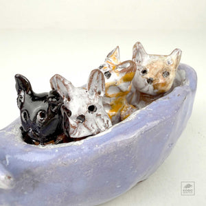 Four Cats in a Hippo Canoe by Aaron Murray