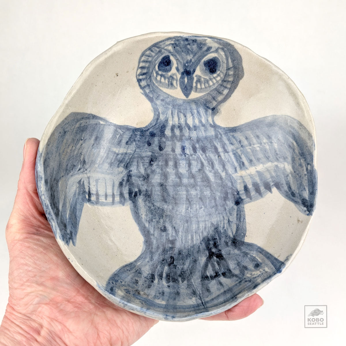 Blue Owl Dish 01 by Aaron Murray