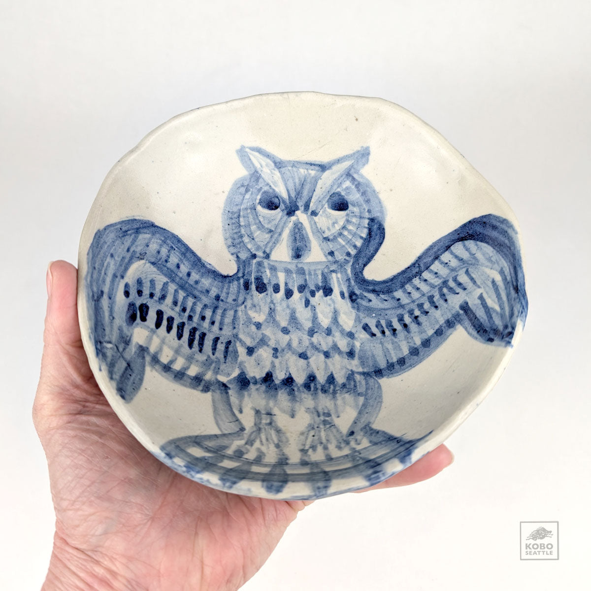 Blue Owl Dish 03 by Aaron Murray
