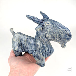 Blue Goat by Aaron Murray