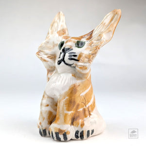 Kitty Cat by Aaron Murray