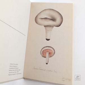 Postcard Book of Mushrooms