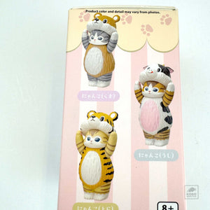 Mystery Box Toy - Cat Animal Costume