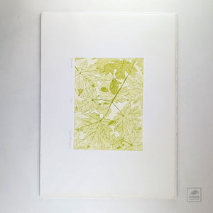 Komorebi by Yoshi Nakagawa