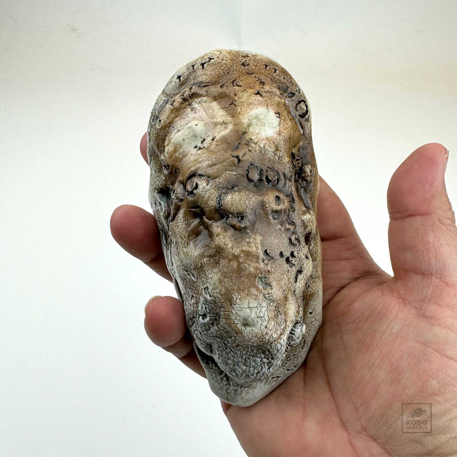 Oyster Shell Bowl "D" by Robin Hominiuk