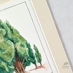Sacred Knowledge Keepers: Cypress - Rubi Do Trinh