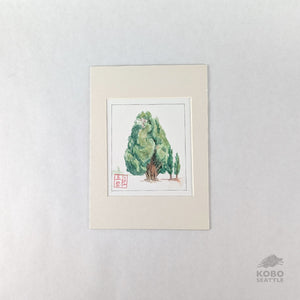 Sacred Knowledge Keepers: Cypress - Rubi Do Trinh