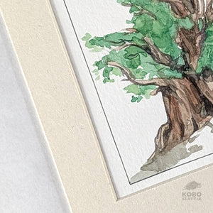 Sacred Knowledge Keepers: Pine - Rubi Do Trinh