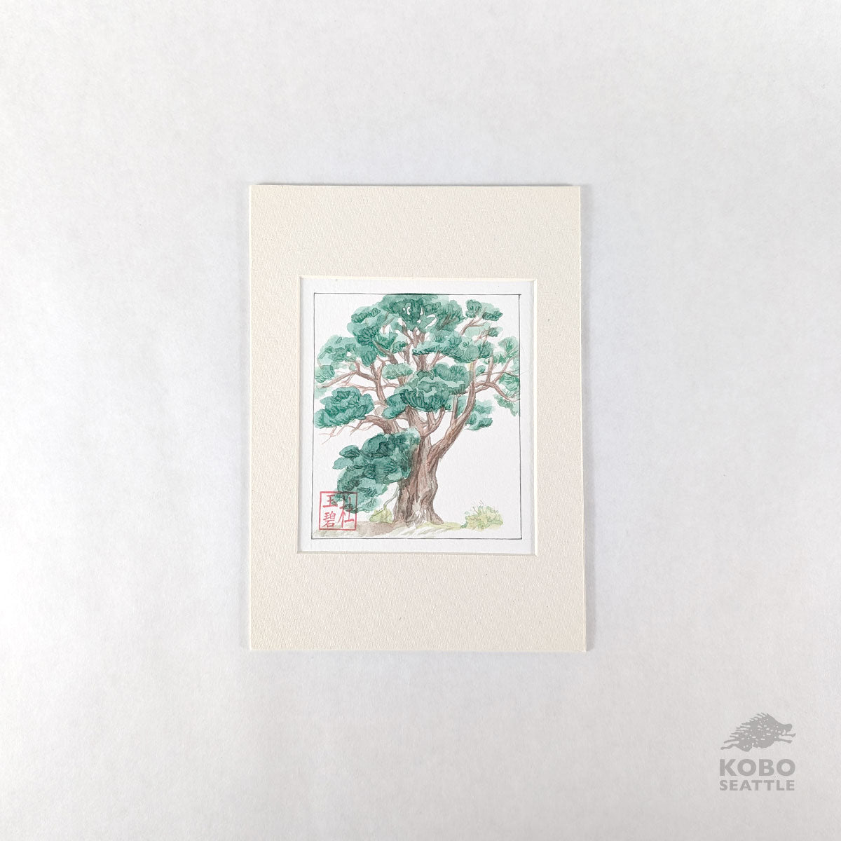 Sacred Knowledge Keepers: Cedar - Rubi Do Trinh