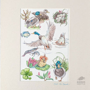 Woodland Treasures: Duck & Shrimp - Rubi Do Trinh