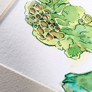 Woodland Treasures: Soil Nurturer - Rubi Do Trinh
