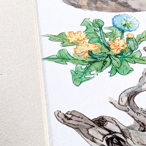 Woodland Treasures: The Masked Bandits - Rubi Do Trinh