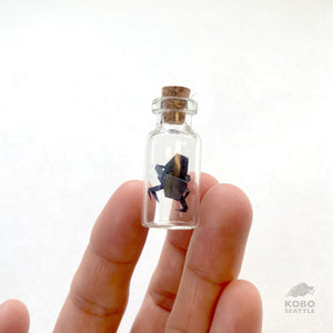 Spider-in-a-Bottle by Sakiko