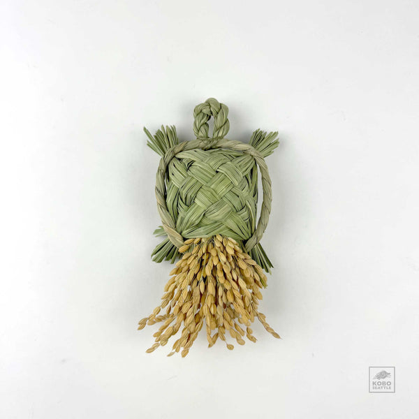 shimenawaturtle_600x.jpg?v=