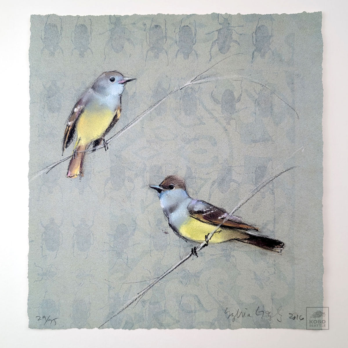 Flycatchers by Sylvia Gonzalez