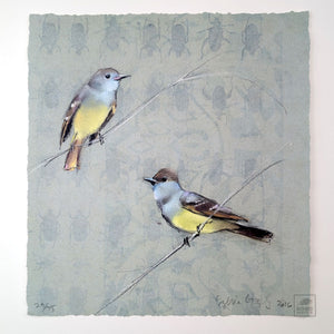 Flycatchers by Sylvia Gonzalez