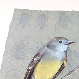 Flycatchers by Sylvia Gonzalez