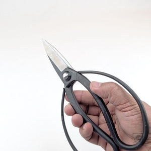 Iron Garden Shears - Okubo-style