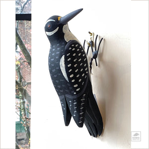 Hairy Woodpecker by Michael Zitka