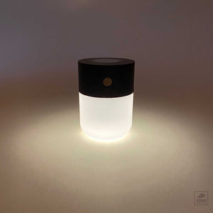 Smart Diffuser Lamp