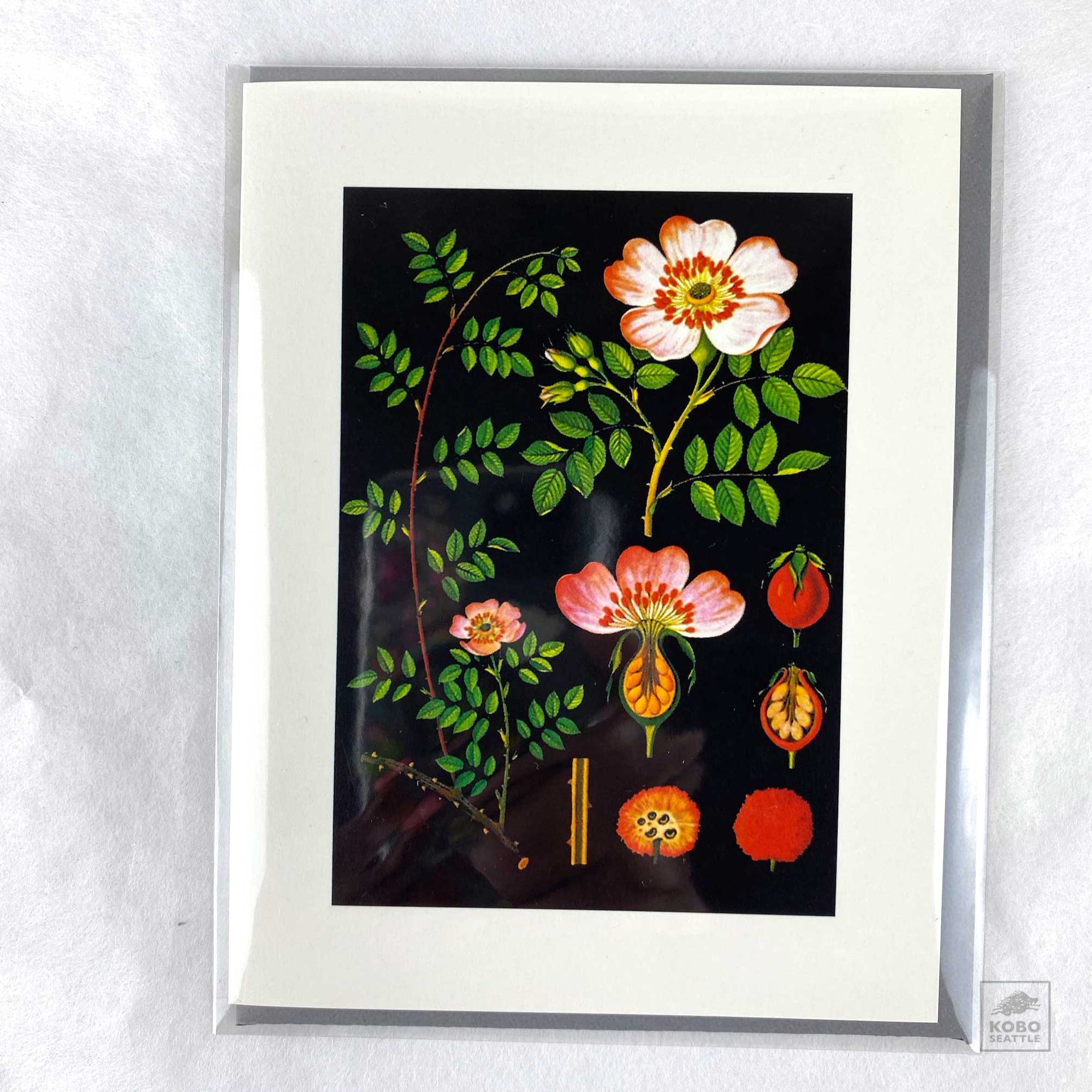 Rose Card