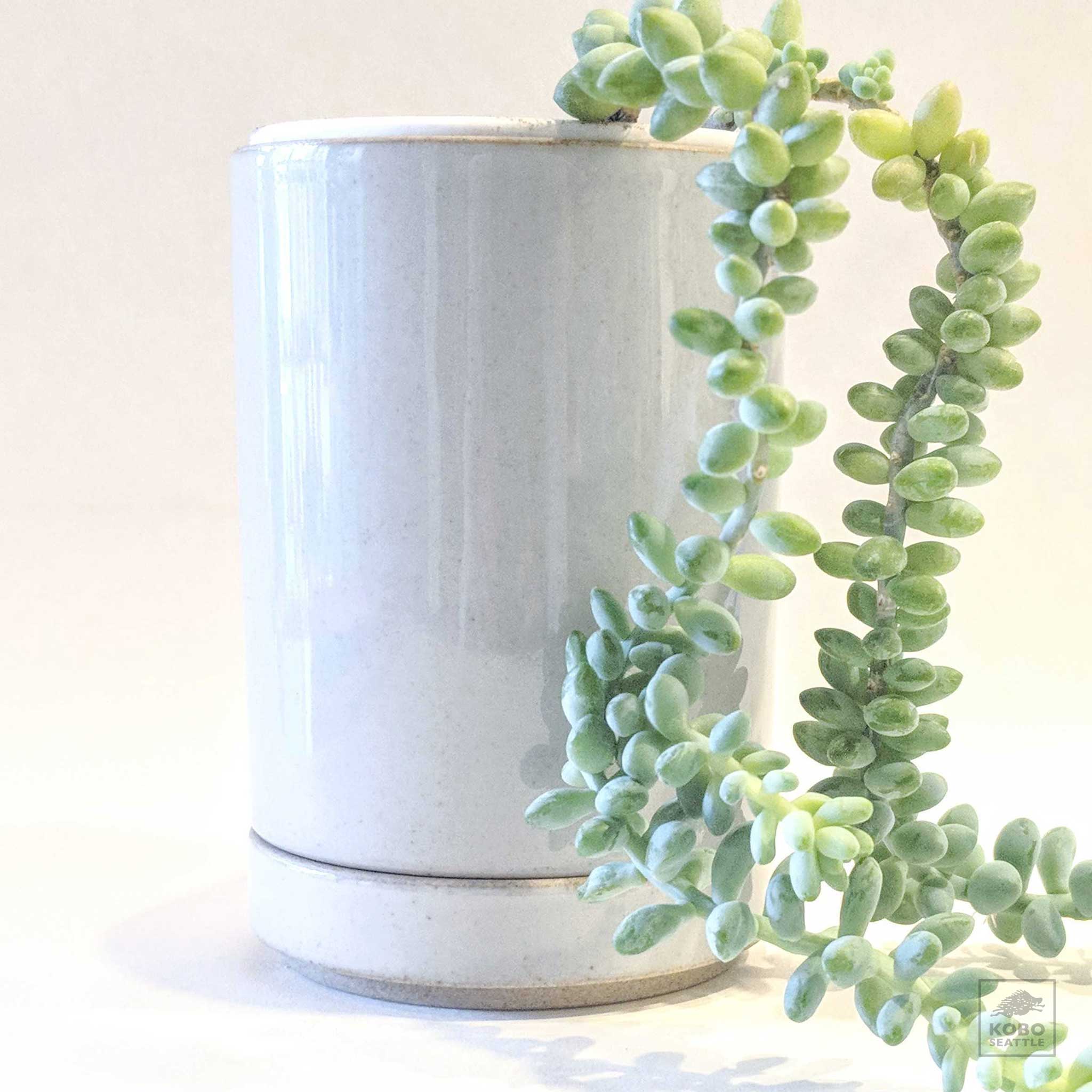 porcelain plant pot Hasami Porcelain Planters