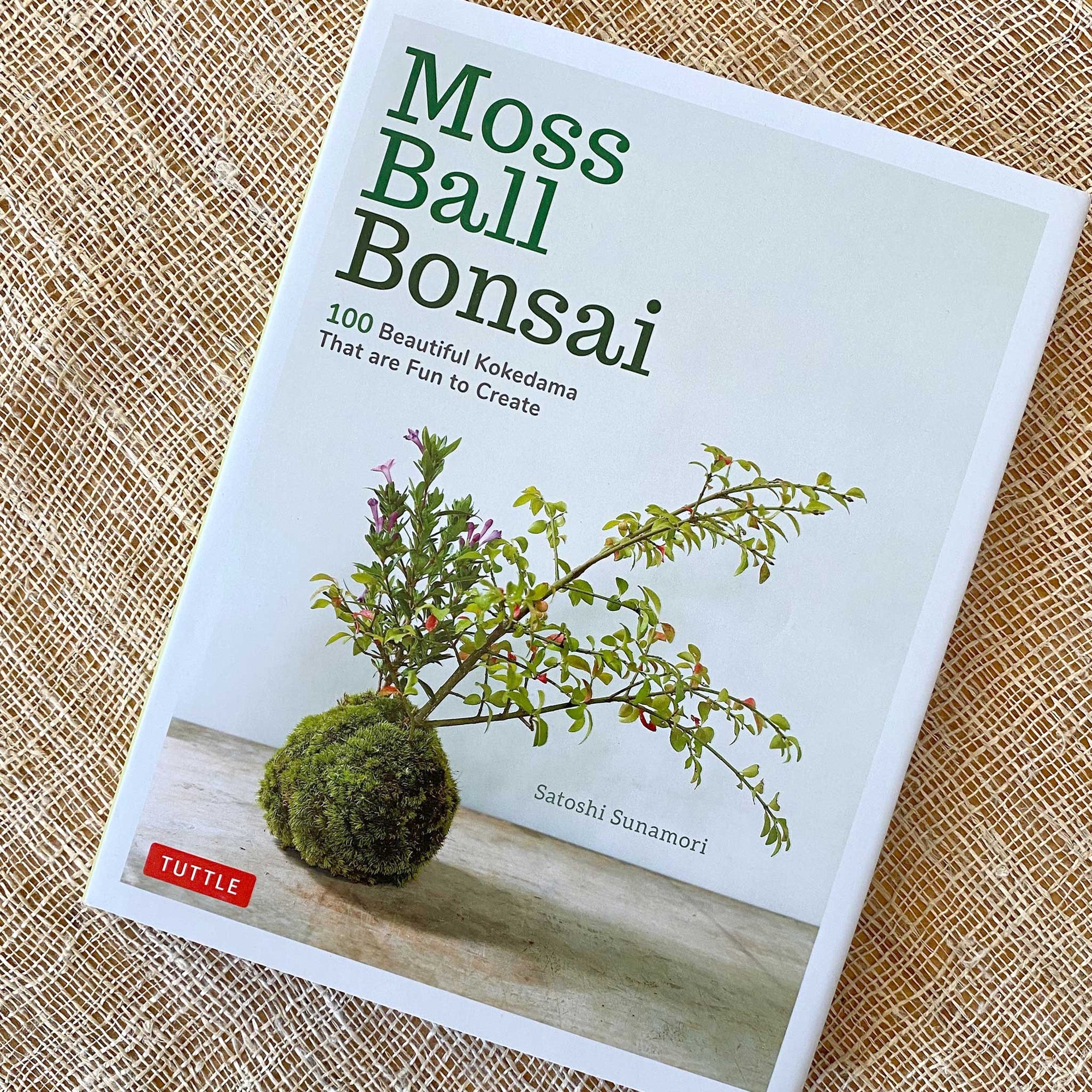 Moss Ball Bonsai