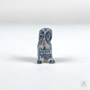 Small Owl 106 by Aaron Murray