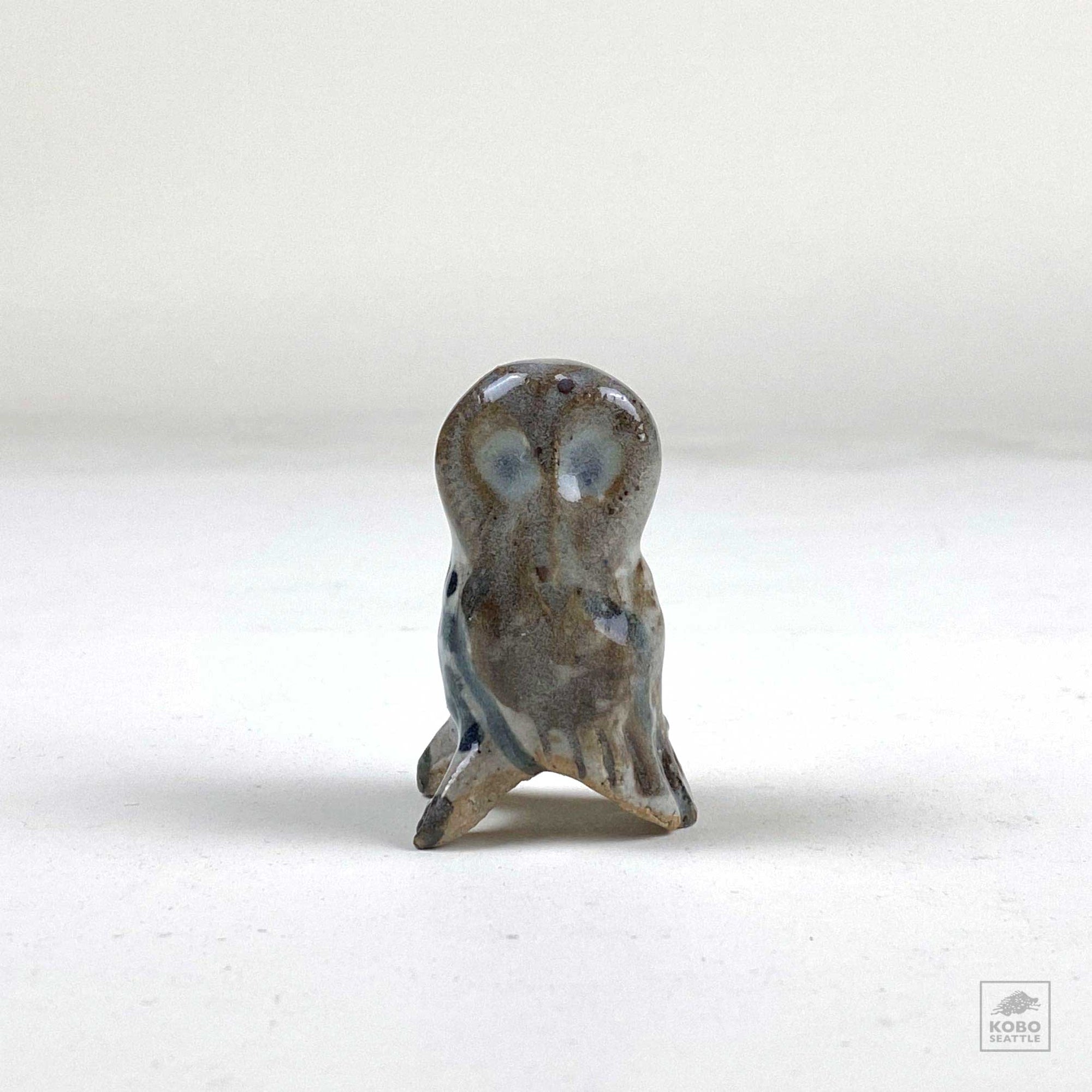 Small Owl 110 by Aaron Murray