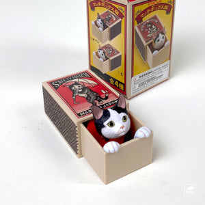 Mystery Box Toy - Cat-in-a-Matchbox