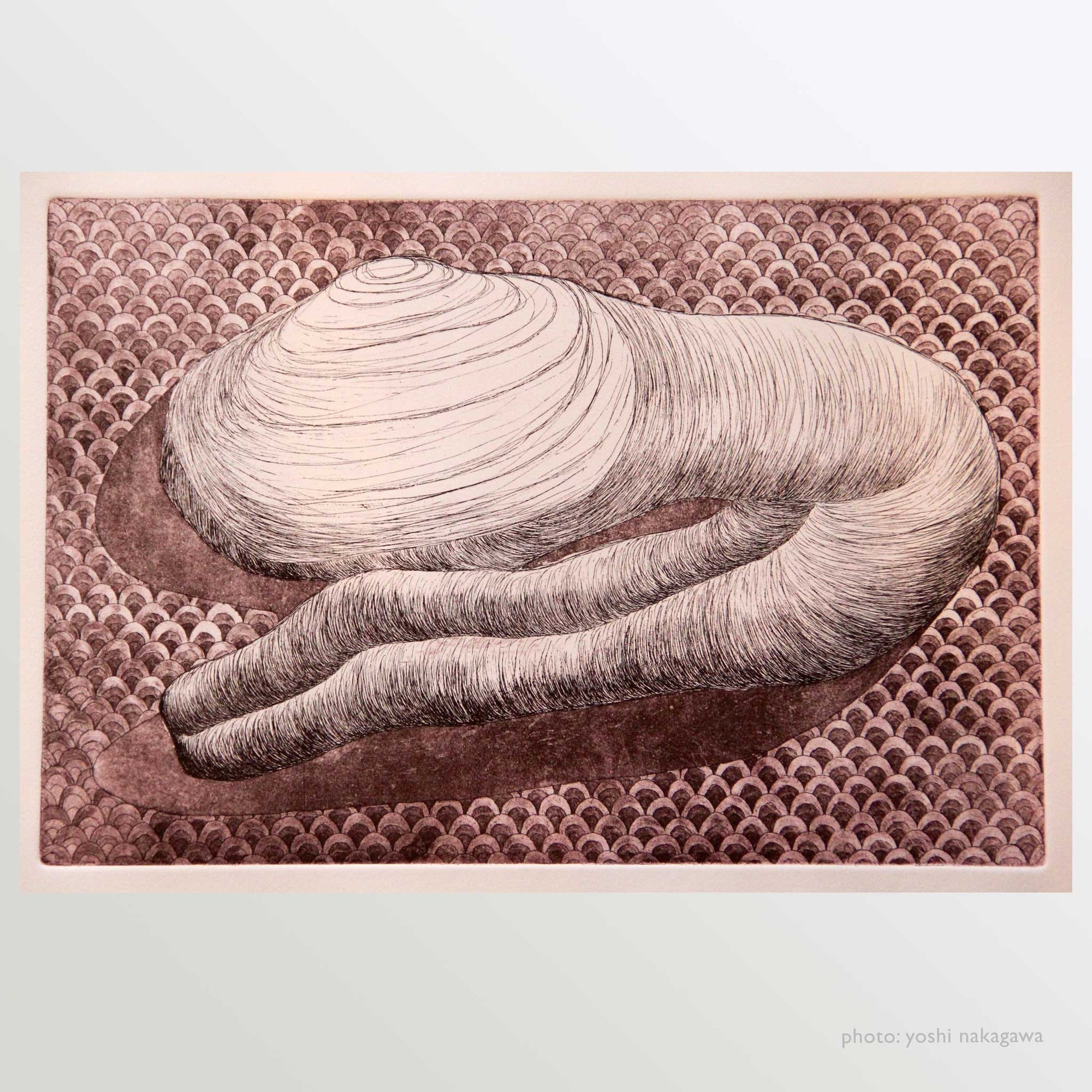 "Geoduck" by Yoshi Nakagawa