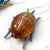 Glittered Insects Ornaments - 3 styles