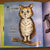 "Mixed Critters, an ABC Book" by Jeff Chiba Stearns