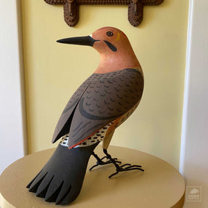 Flicker, Looking Back