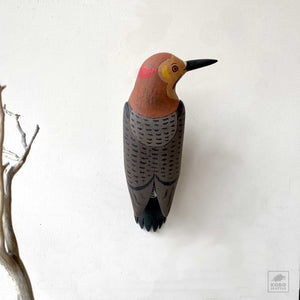 Flicker Looking to the Side by Michael Zitka