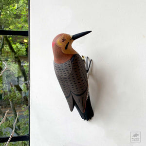 Flicker Looking to the Side by Michael Zitka
