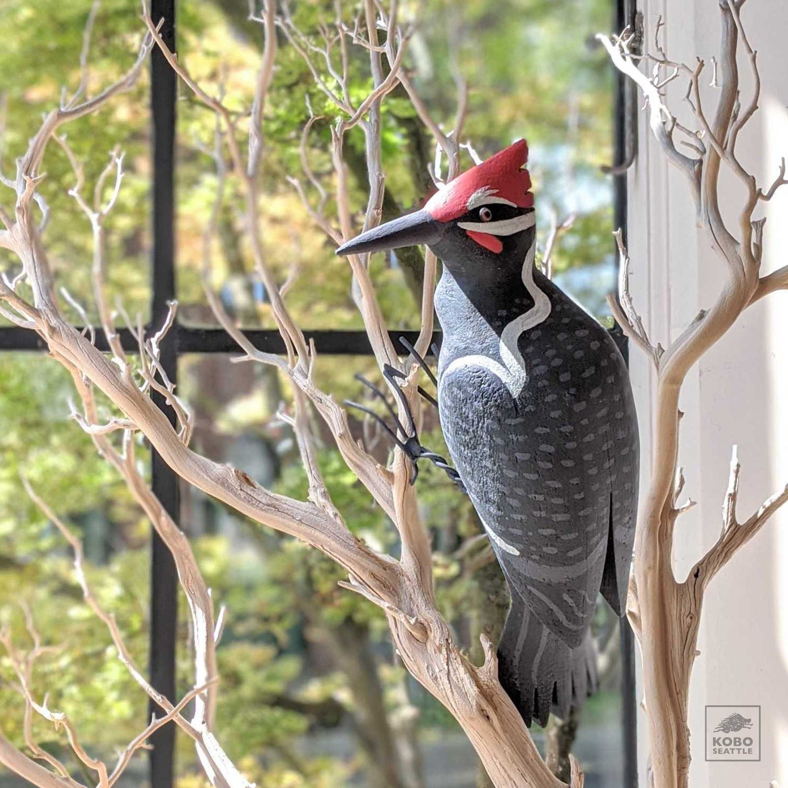 Pileated Woodpecker, looking to the left